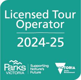 Licensed Tour Operator 2024-25