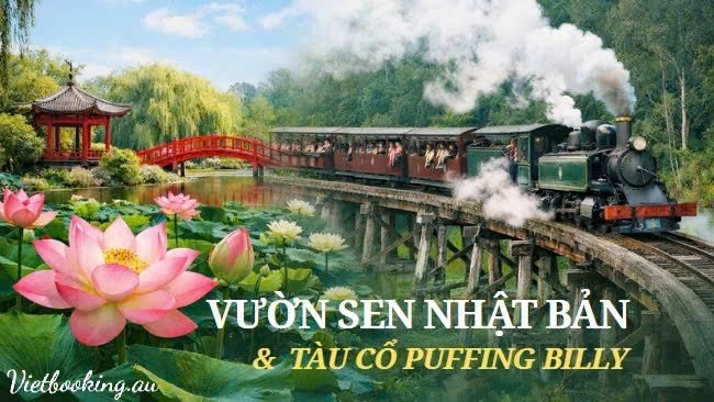 Việt booking - VietBooking - Vbooking - Vườn sen Nhật Bản tại Melbourne – Blue Lotus Water Garden và hành trình tuyệt sắc