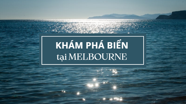 Yêu Biển - Khám Phá Các Bãi Biển Đẹp Tại Melbourne