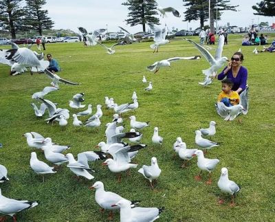 Discover Adelaide part 2