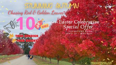 TUNNING AUTUMN – CHASE THE GOLDEN & RED LEAVES WITH VBOOKING