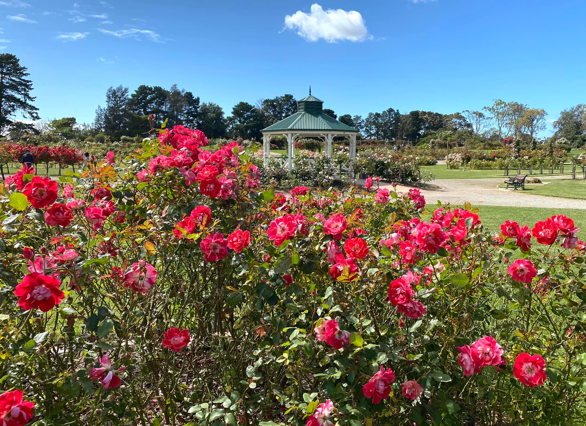 Werribee Rose Garden