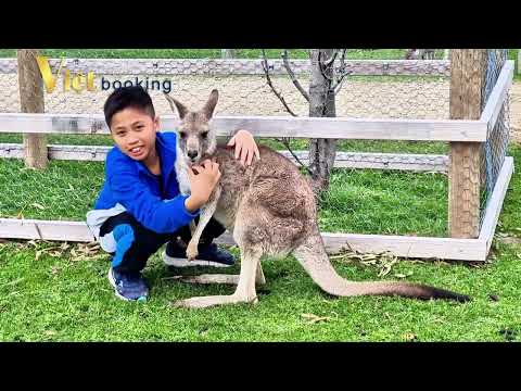 My Australia - Nước Úc của tôi