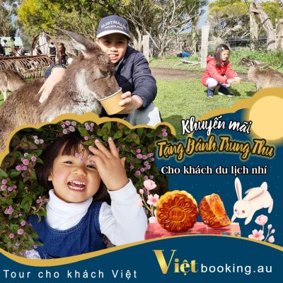 Việt booking - VietBooking - Vbooking - Khuyến mãi Trung thu