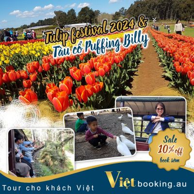 Khuyến mãi Spring holiday