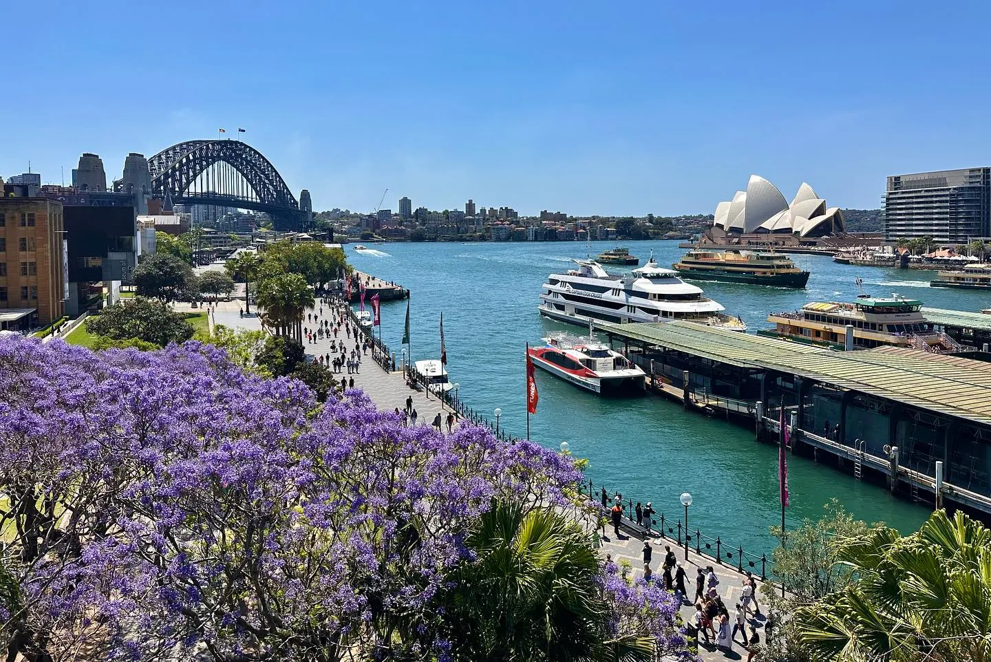 467160210_18467259535059540_6544545016098834676_n-1440x962.webp (393 KB)