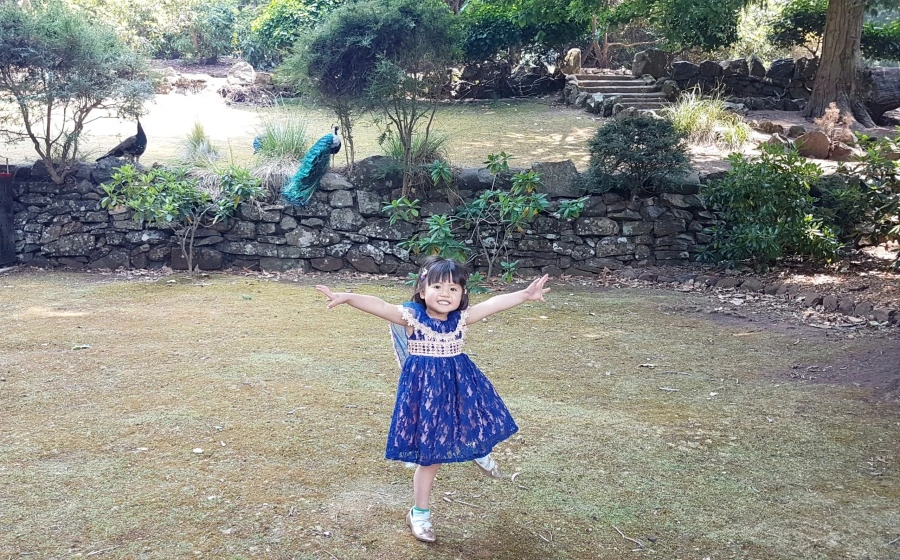 item image 534 album của tour Tasmania 4 Days 3 Nights