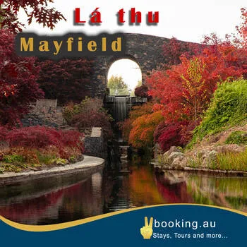 Autumn Leaves at Mayfield