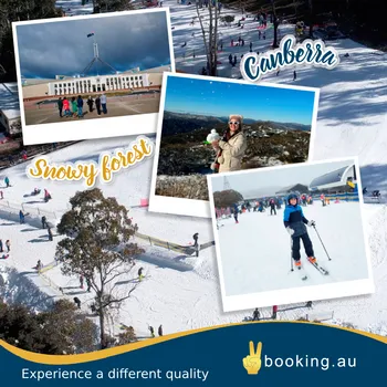 Canberra Snowy Forest