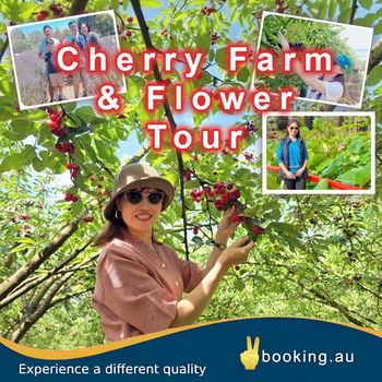 Cherry Farm and Flowers