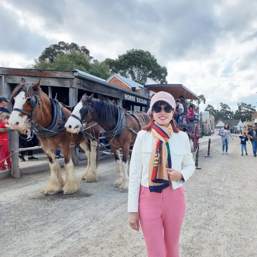 album của tour