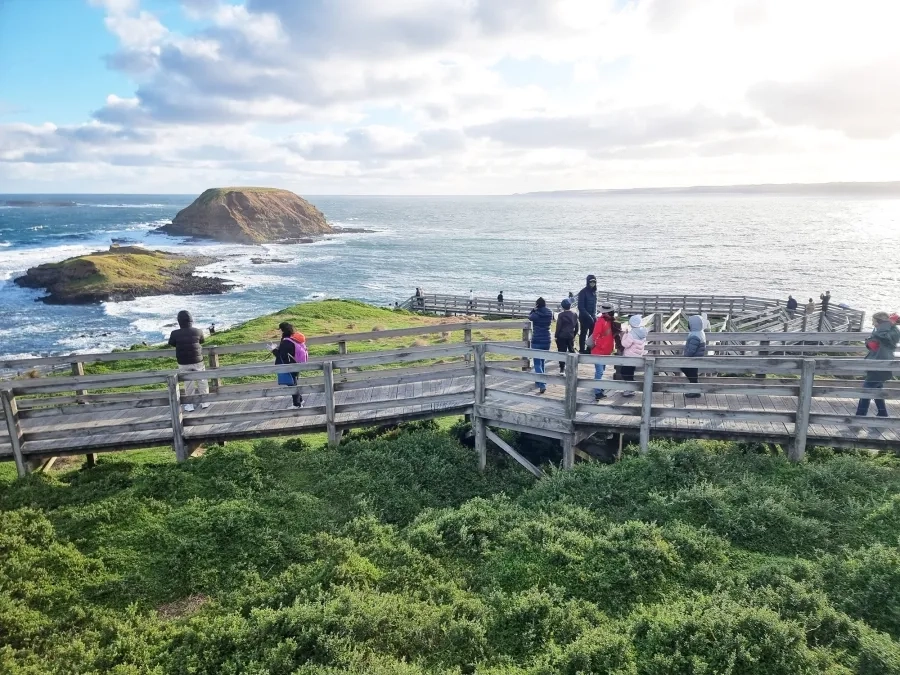 item image 51 album của tour Phillip Island VIP tour