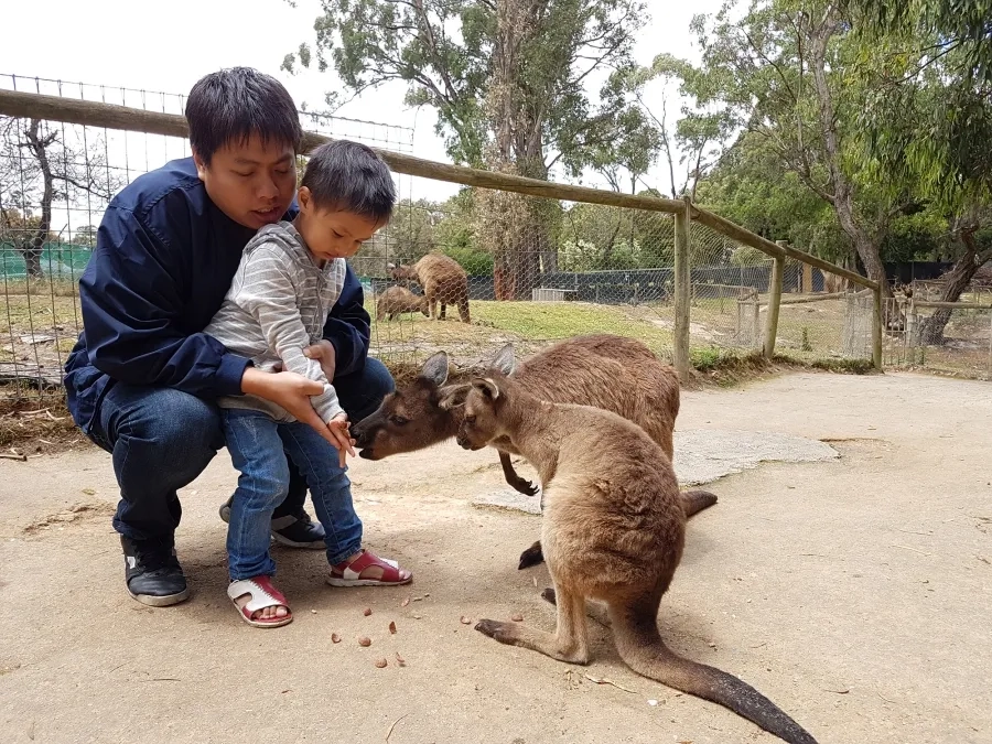 item image 58 album của tour Ballarat VIP