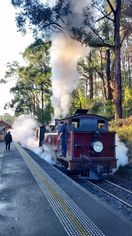 item image 107 album của tour Yarra Valley Farm and Puffing Billy Steam Train