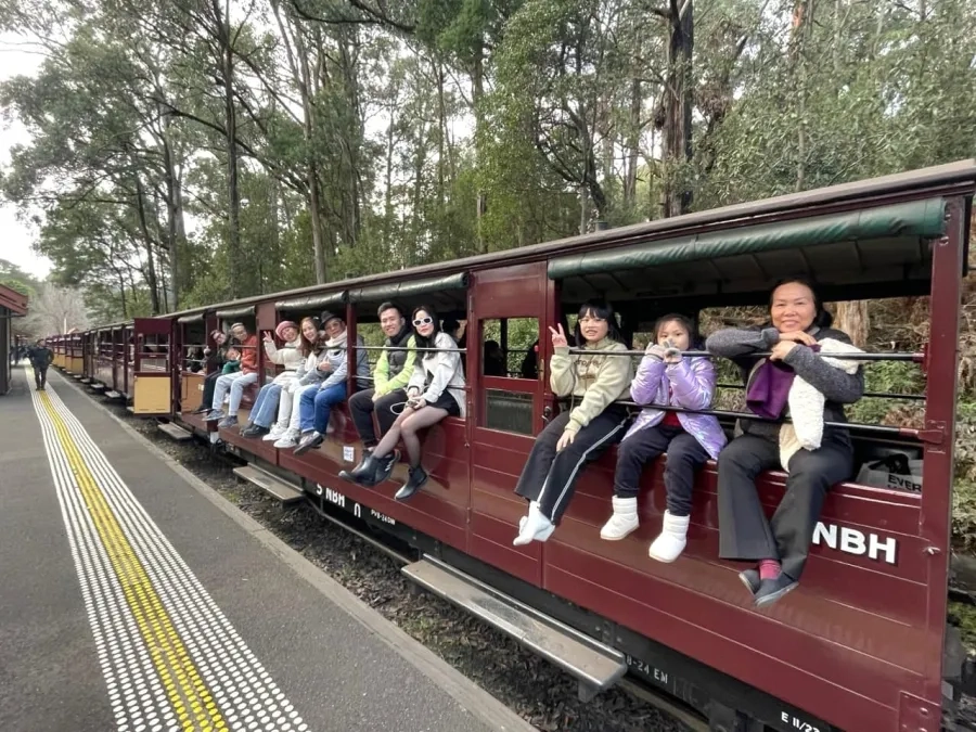 item image 108 album của tour Yarra Valley Farm and Puffing Billy Steam Train