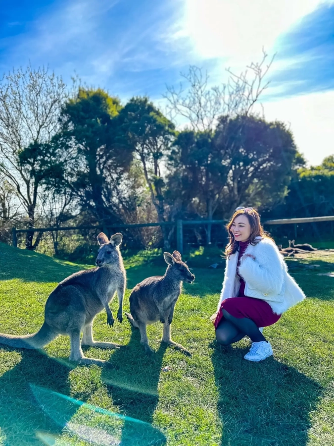 item image 175 album của tour Phillip Island VIP tour