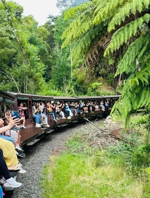 item image 165 album của tour Yarra Valley Farm and Puffing Billy Steam Train