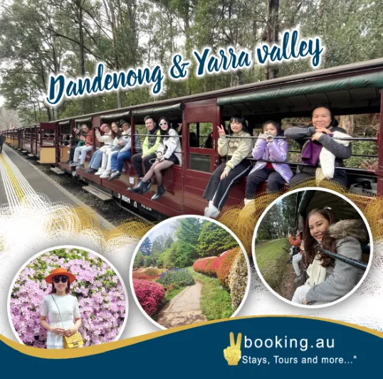 item image 161 album của tour Yarra Valley Farm and Puffing Billy Steam Train