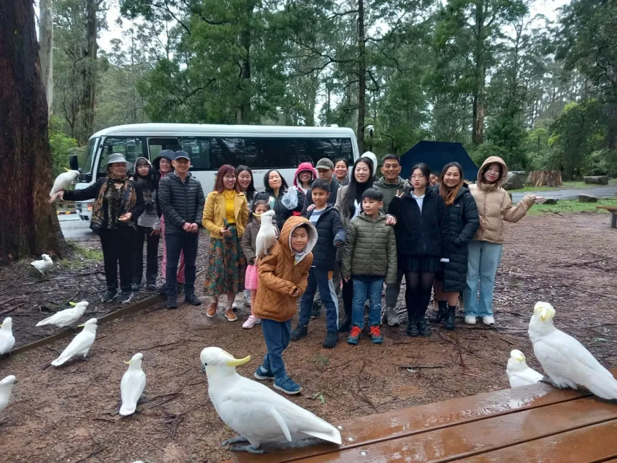 album của tour