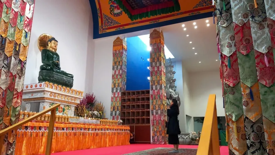album của tour