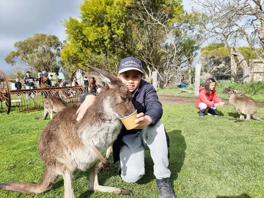 item image 171 album của tour Phillip Island VIP tour