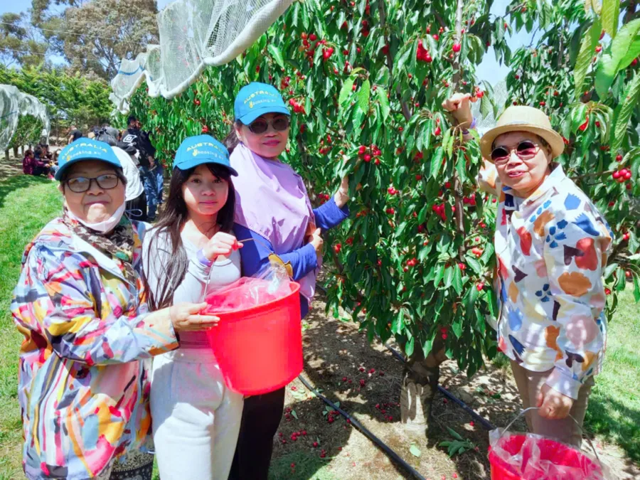 album của tour