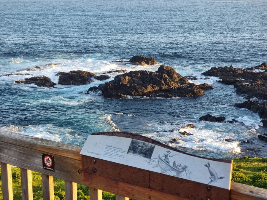 item image 186 album của tour Phillip Island - Penguins - Seals