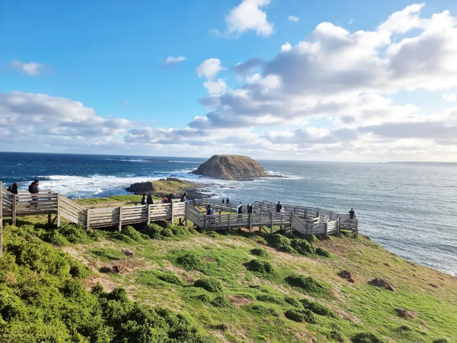 item image 181 album của tour Phillip Island - Penguins - Seals