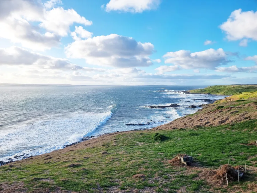 item image 178 album của tour Phillip Island - Penguins - Seals