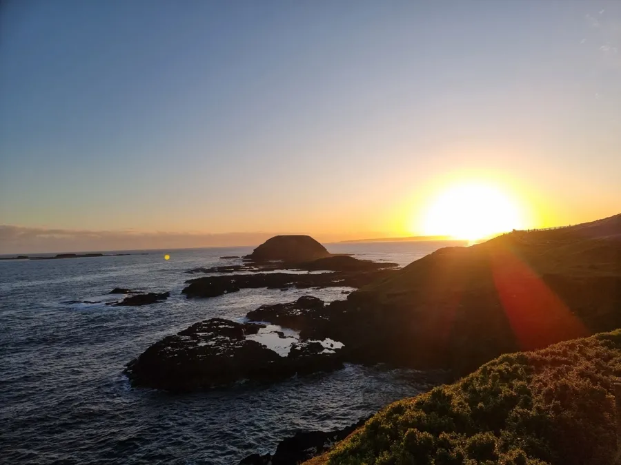 item image 184 album của tour Phillip Island - Penguins - Seals