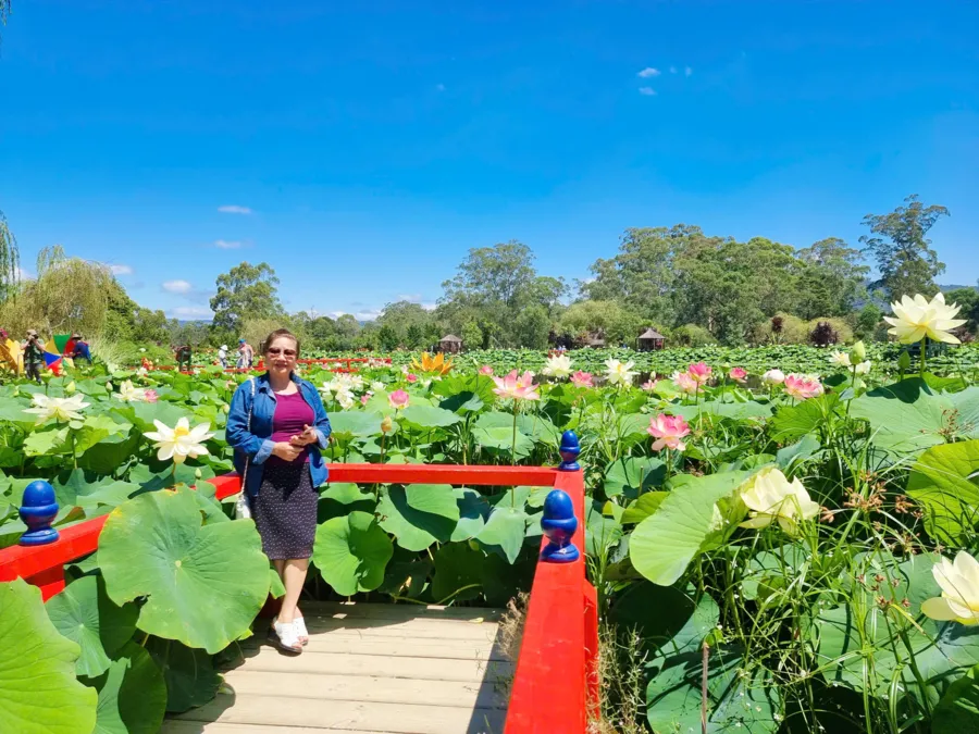 item image 196 album của tour Melbourne Self-Guided Travel - Fishing Experience