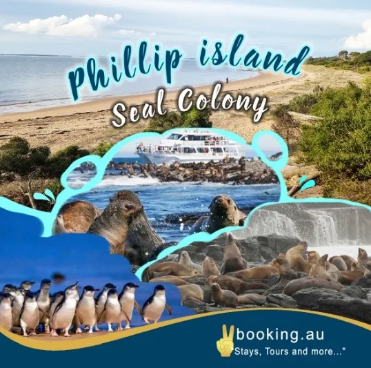 item image 205 album của tour Phillip Island - Penguins - Seals
