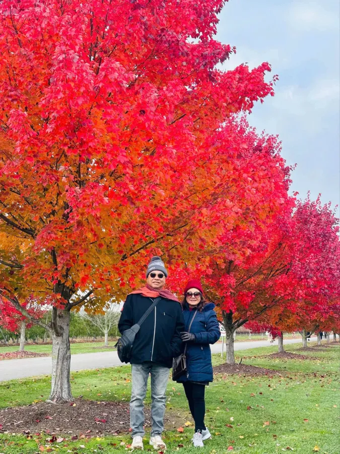 item image 246 album của tour Autumn Leaves of Bright Town