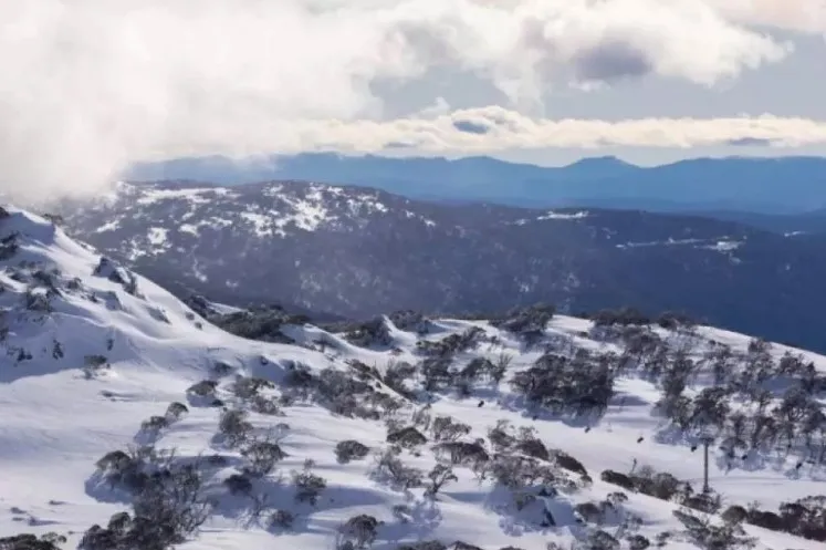 item image 351 album của tour Skiing at Perisher