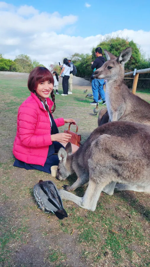 item image 316 album của tour Phillip Island VIP tour