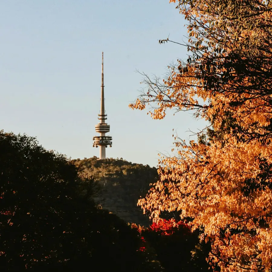 item image 320 album của tour Canberra – The Heart of Australia