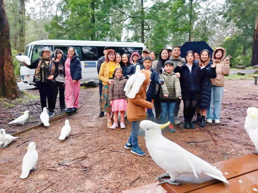 item image 292 album của tour 5-Day 4-Night Melbourne Tour