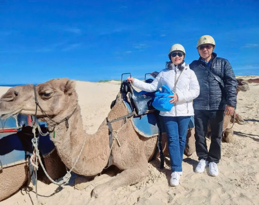 item image 327 album của tour Dolphin Watching – Camel Riding – Nelson Bay