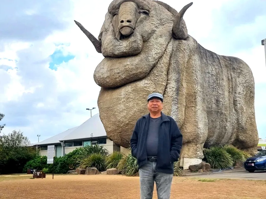 item image 733 album của tour Việt booking - VietBooking - Vbooking - Rừng tuyết Canberra