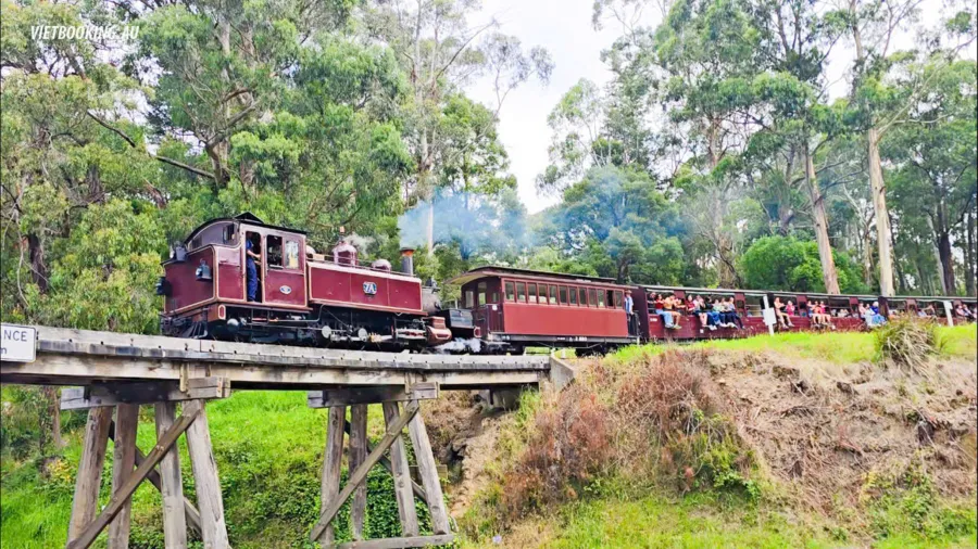 item image 293 album của tour 5-Day 4-Night Melbourne Tour