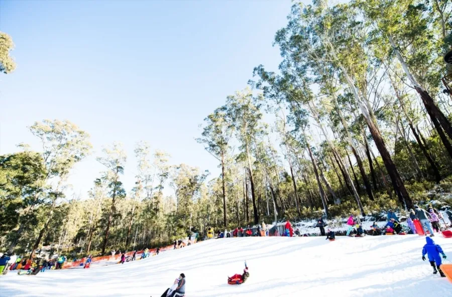 item image 370 album của tour Canberra Snowy Forest