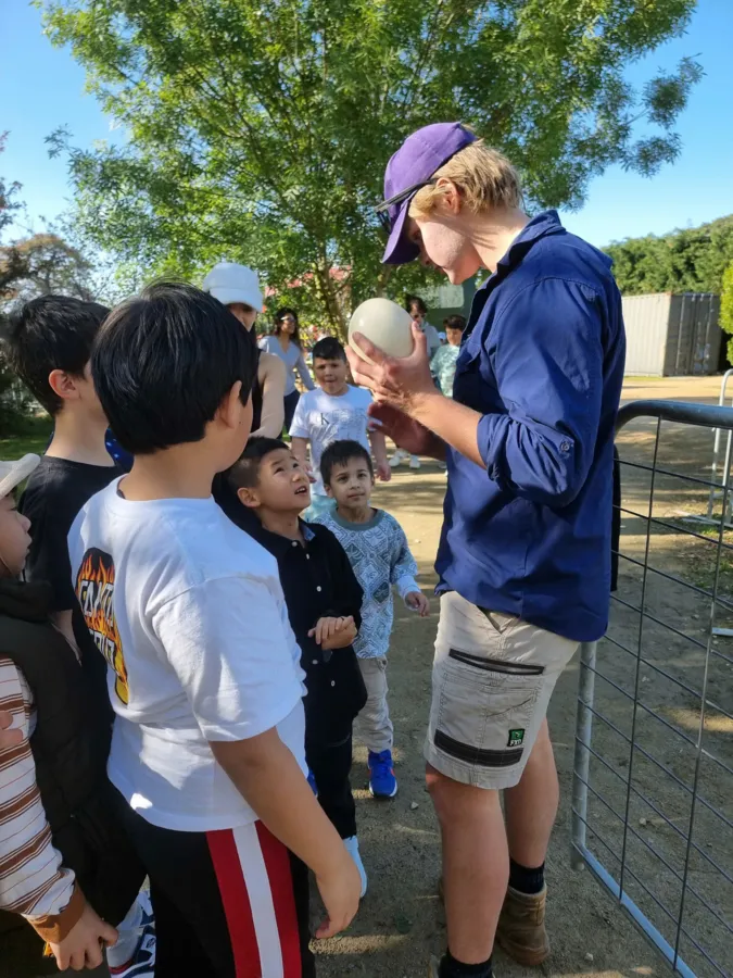 item image 818 album của tour Bán đảo Mornington