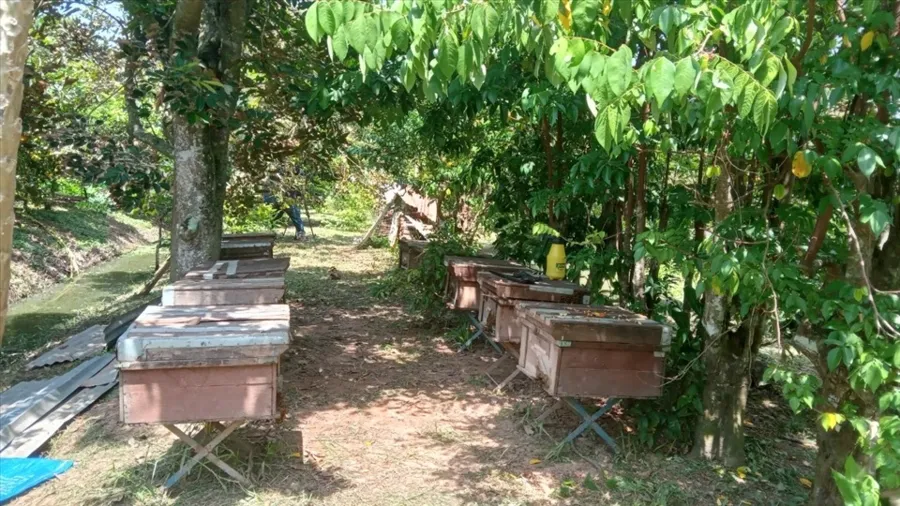 item image 422 album của tour Can Tho – Tay Do City Tour