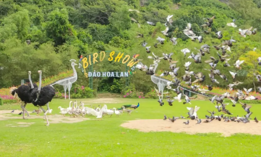 item image 447 album của tour Da Lat – Nha Trang 5 Days 4 Nights Tour