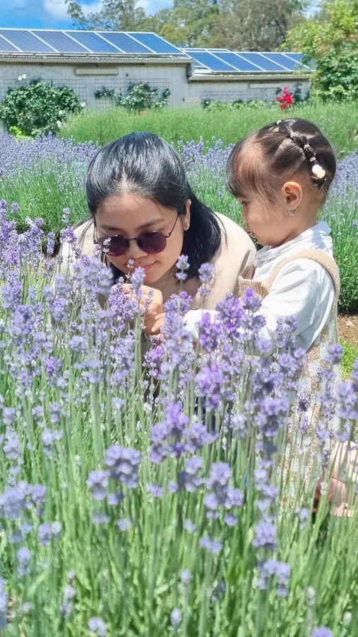 item image 393 album của tour Yarra Valley Farm and Puffing Billy Steam Train
