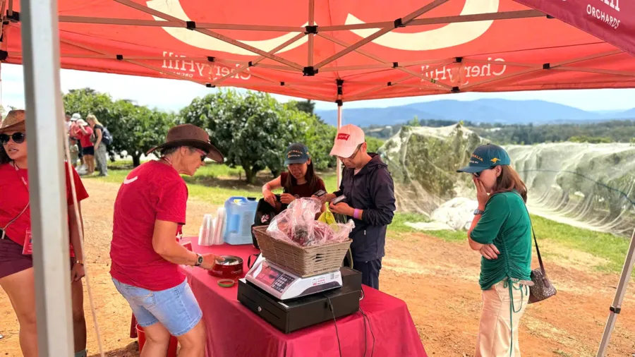 item image 394 album của tour Yarra Valley Farm and Puffing Billy Steam Train