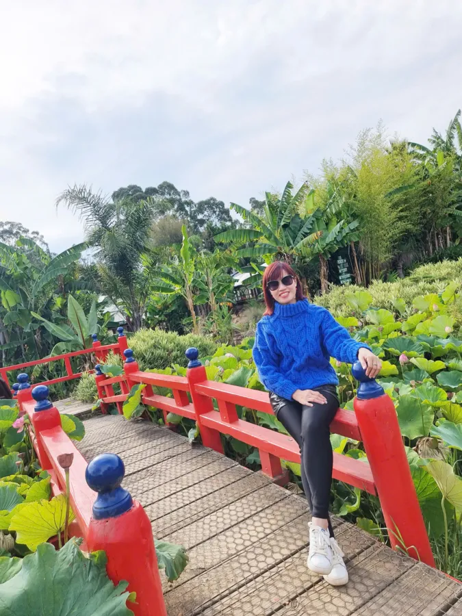 item image 857 album của tour Việt booking - VietBooking - Vbooking - Nông trang Yarra valley và tàu cổ Puffing Billing