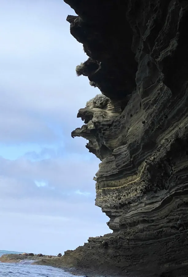 item image 856 album của tour Việt booking - VietBooking - Vbooking - Biển Portland và vườn địa đàng núi Gambier