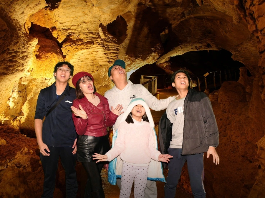 item image 503 album của tour Auckland 5 Days VIP