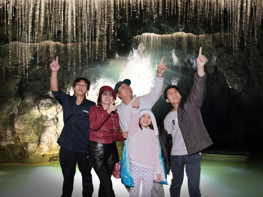 item image 517 album của tour Auckland 4 Days 3 Nights